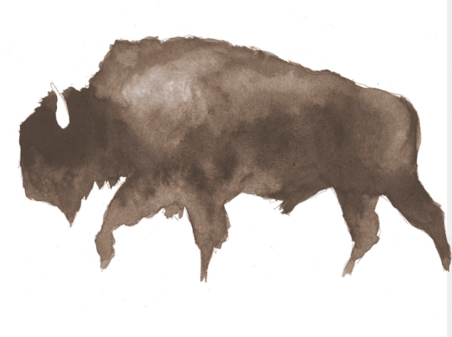 Gentle Buffalo Film Company Logo